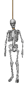ani-skeleton-98x291.gif
